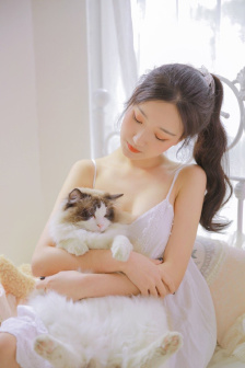 高清无码